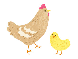 Hen and chick illustration with grainy texture. Chicken, hen, rooster comic birds characters. Poultry farm domestic birds animal flat collection. Childish cartoon hand drawn vector illustration