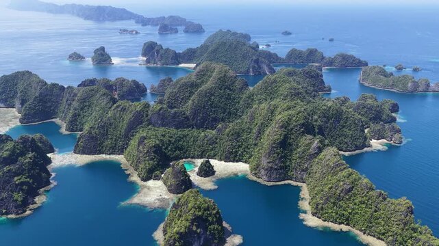 Beautiful rock islands, composed of ancient, uplifted reefs, rise from the seascape in Misool, Indonesia. This region harbors spectacular marine biodiversity and is a popular area for diving.