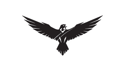 Obraz premium Silhouette of Eagle in Flight