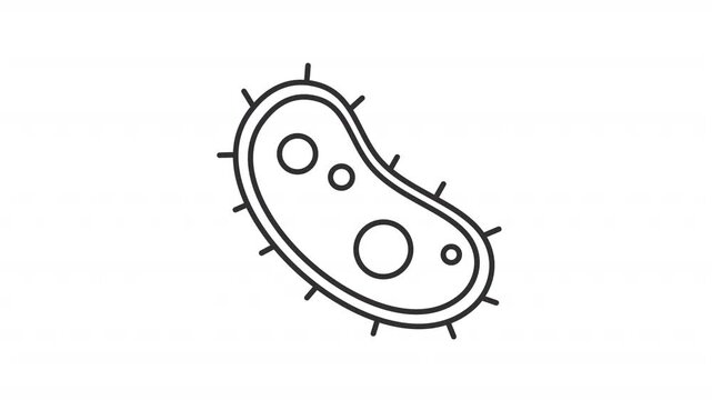 Animated microorganism line icon. Engineering bacteria animation. Single celled organism. Protozoan research. Biotechnology. Outline element on white background. HD video with alpha channel