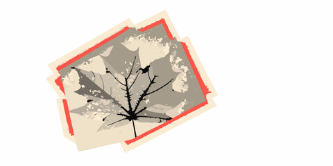 An artistic rendition of a maple leaf within a layered red bordered frame