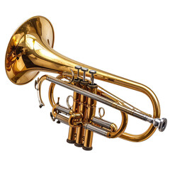 Obraz premium Gleaming brass instrument, valves visible, ready to be played (1)