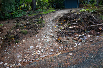 Fototapeta premium Residential house driveway dug up for replacement, roots, branches and storm debris piled up on both sides of the dirt driveway, home improvement construction project 