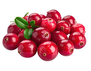 Group of bright red, round berries with green leaves on a black backdrop