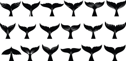 Mega collection of black whale and dolphin tail silhouettes diving into ocean water isolated on white background for marine design, © Mim's World