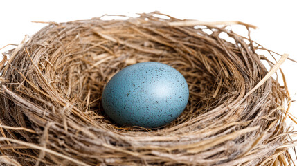 A single speckled blue bird egg rests securely in a meticulously woven twig nest, perfect for concepts of nature, new beginnings, and protection for wildlife preservation.