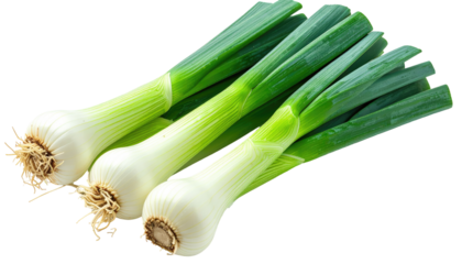 Three fresh, green onions are arranged on a black background, showcasing their crisp white bulbs and vibrant green leaves