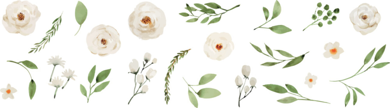 White and Green Watercolor Floral Elements Set, Botanical Flowers and Leaves
