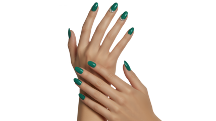 Elegant hands with long stiletto nails painted in deep emerald green polish isolated on transparent background