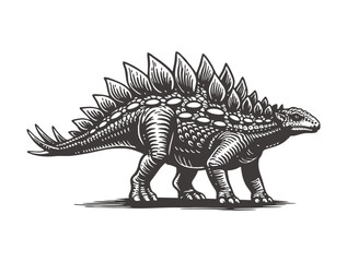 Vintage engraved style illustration of a spiked stegosaurus dinosaur walking. © Alex