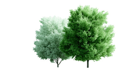 Two lush green trees, one lighter and one darker, stand majestically against a subtle background, perfect for landscaping and nature projects.