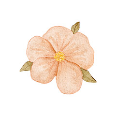 Peach flower watercolor illustration with soft textured petals and green leaves, hand-painted and isolated on white, ideal for wedding stationery, feminine branding, spring decor, invitations, cards