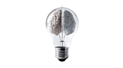 Symbolic light bulb with half a human brain inside representing intellect and innovation for idea generation and discovery