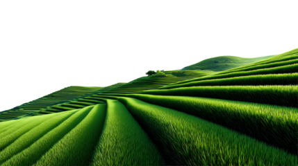 Lush green terraced rice fields cascade across rolling hills under a vibrant blue sky with soft clouds, perfect for agriculture and travel themes.