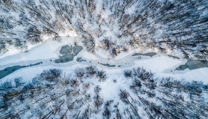Aerial view of a winding river flowing through a snow-covered forest in winter.