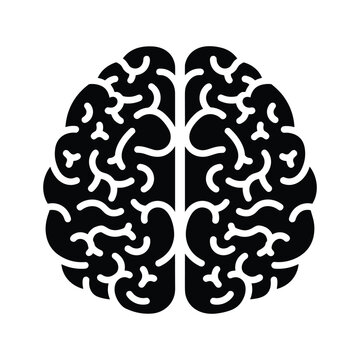 Human brain silhouette with visible cerebral cortex