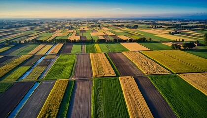 Aerial view of vast agricultural fields with diverse crops under a clear sky.
