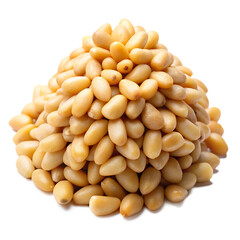 Pine Nut Isolated on White Background