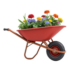 Gardening action with colorful flowers in wheelbarrow outdoor garden setting still life perspective