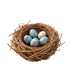 Obraz premium Gathering colorful eggs in a nest nature scene photography rustic environment close-up perspective