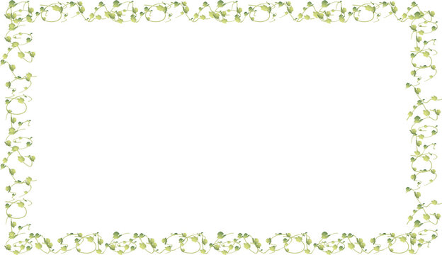 Green vine border frame. Decorative leafy rectangular frame with curling vines on black background for natural and elegant design.
