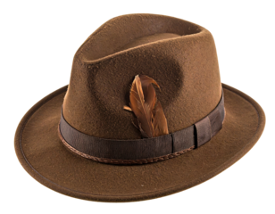 A close-up shot of a brown fedora hat. This classic headwear features a band and a decorative feather on its side
