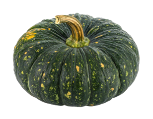 A close-up shot of a dark green pumpkin with a textured surface and a light brown stem, set against a black background