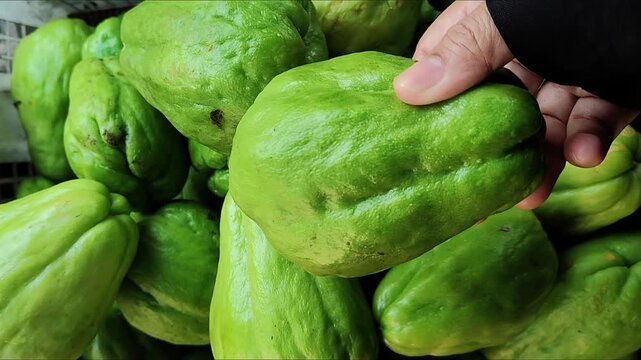 Footage of hands selecting fresh chayote at a traditional market, showing everyday shopping activity, vegetable freshness, and local trade, suitable for food, lifestyle, and agriculture content.