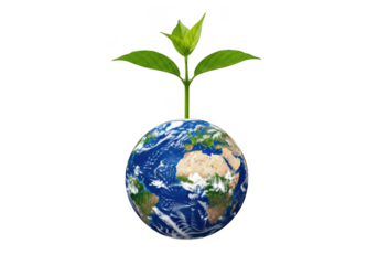 Green sprout growing from planet earth isolated on transparent background