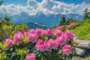 A picturesque mountain landscape with vibrant wildflowers blooming in the foreground, set against a backdrop of majestic mountains under a clear blue sky.