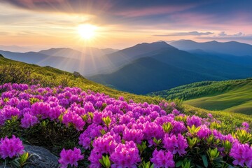 A breathtaking view of a mountain range under a vibrant sunset, with a field of blooming purple flowers in the foreground and a majestic mountain in the background.