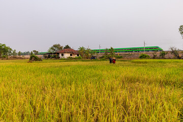 Fototapeta premium The train shown is a Lane Xang EMU, which operates on the China-Laos Railway. This specific green livery is iconic to that route, symbolizing the connection between the two nations through lush landsc