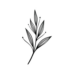 Obraz premium Illustration vector leaf