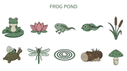 Cartoon illustrations of frog pond elements including animals and plants © Faisal