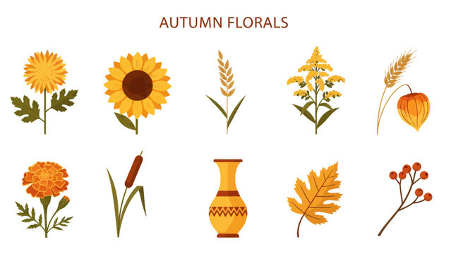 Collection of ten autumn floral elements and a vase illustration