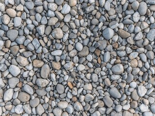 Top view of many smooth gray pebbles forming seamless stone texture for natural background pattern.