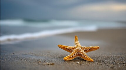 Starfish on Beach: Coastal Scene, Summer Vacation, Sea Life