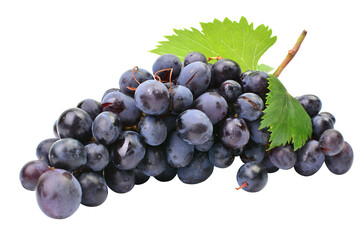 Bunch of grapes isolated on white background