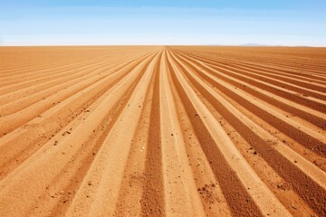 Spring Field Rows: Neat crop lines stretching across fertile spring soil. --chaos 50 --ar 3:2 --profile 1l3n7zg --stylize 150 --v 6 Job ID: c6fca034-8ddc-4e3e-ae11-a88a3f11c9ff