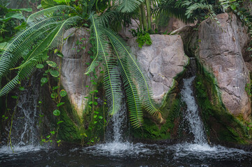 A gentle stream carving its path, Audubon Aquarium, New Orleans, Louisiana, United States of America
