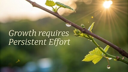 A strong vine branch with new green buds reaching towards the sun, symbolizing growth and persistent effort in nature.