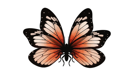 Beautiful Orange Butterfly with Black Spots Detailed Wings.
