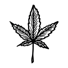 Hand drawn cannabis leaf Medicine marijuana Hemp leaves clipart in doodle style Single element for print, web, design, decor