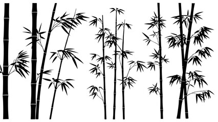 Silhouettes of various bamboo stalks and leaves in a natural setting.