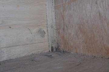 Wall preparation: Deep cleaning surfaces and ceilings with a broom before painting in home renovation project