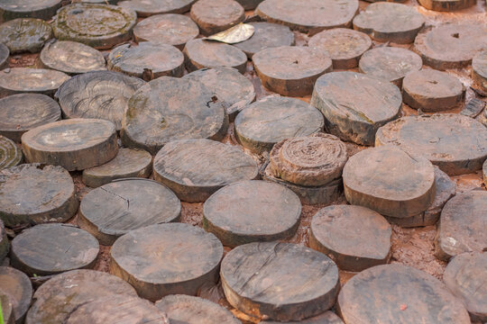a ground path constructed from round, cross-cut timber logs or tree stumps. This type of path is commonly referred to as a wooden path, walkway, trail, or stepping-stone path. 