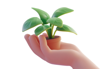 Human hand holding a plant isolated on transparent background. 3d render
