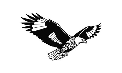 Fototapeta premium Flying bald eagle with outstretched wings black and white illustration