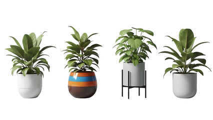 Four potted plants isolated on transparent background