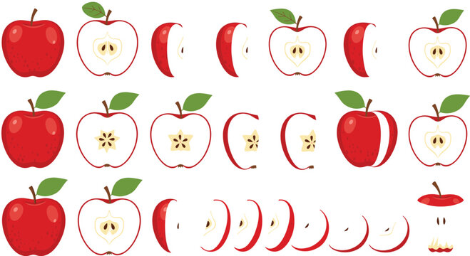 Large collection of red apple vector icons showing whole fruit half sections quarters and thin slices for healthy cooking nutrition and recipe designs.